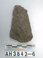 藏品(小型舌刃打製石斧)的圖片